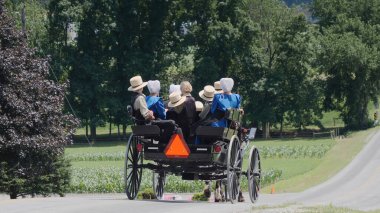 Tüm Amish Ailesi Seyahat Eden Açık At ve At Arabası