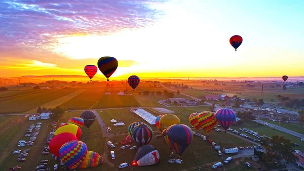 Hot Air Balloons Taking Off at Sunrise