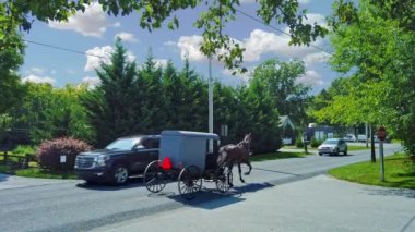 Güneşli bir yaz gününde Arabalarla Taşra Yolunda Gezinen Bir Amiş At ve At Arabası