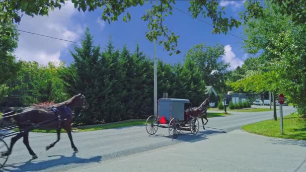 ペンシルベニア州ゴードンビル2020年9月 晴れた夏の日に田舎道を旅する3頭のアミッシュ馬とバギー — ストック動画