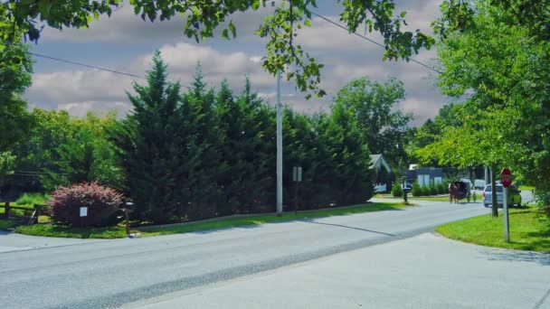 美国宾夕法尼亚州戈登维尔 2020年9月 在阳光明媚的夏日 一辆阿米什马和一辆大篷车沿着乡间小路慢悠悠地开着 — 图库视频影像