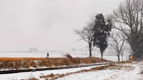 在暴风雪中 当蒸汽机接近时 一个人在铁路轨道上遛狗 — 图库视频影像