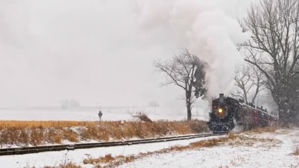 ペンシルベニア州ロンクス 2021年1月 雪の嵐の中で乗用車が接近する蒸気機関車としてのレール ロード トラックで犬を歩く男 — ストック動画