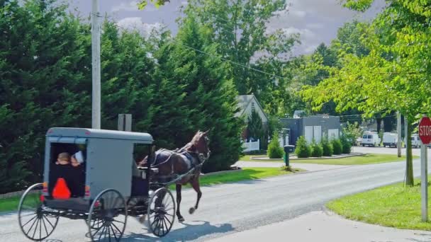 Gordonville Pensylwania Wrzesień 2020 Amish Horse Buggy Two Amish Children — Wideo stockowe