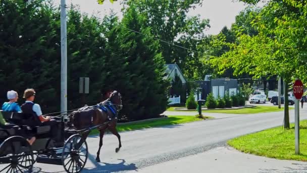 ゴードンビル ペンシルベニア州 2020年9月 田舎道に沿って腐っている1人の十代の男性と3人の十代の女の子とアミッシュオープンバギーのスローモーションビュー — ストック動画