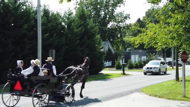 Gordonville Pennsylvania Settembre 2020 Slow Motion View Amish Open Buggy — Video Stock