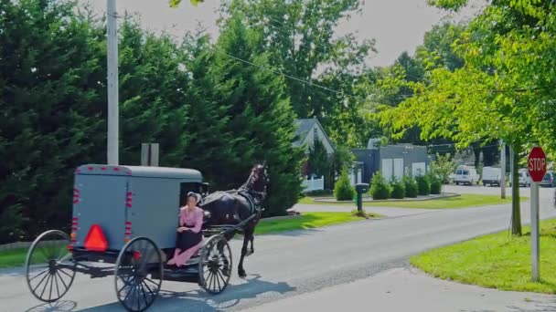 Gordonville Pensilvânia Setembro 2020 Uma Visão Lenta Buggy Amish Com — Vídeo de Stock