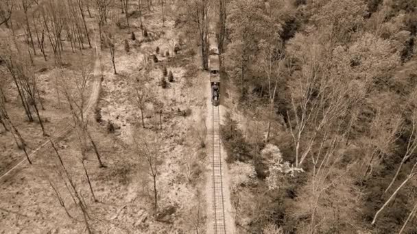 Una Veduta Aerea Bianco Nero Treno Passeggeri Vapore Del 1860 — Video Stock