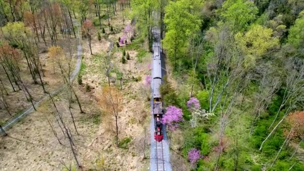 Veduta Aerea Treno Passeggeri Vapore Del 1860 Che Viaggia Attraverso — Video Stock