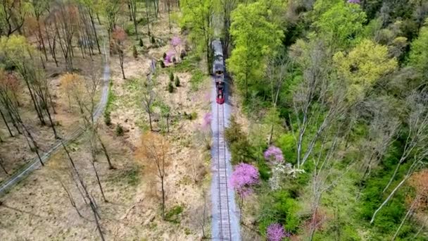 1860 Ların Buharlı Yolcu Treni Nin Havadan Görünümü Yalnız Tek — Stok video