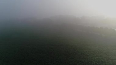 Sabahın erken saatlerinde tarla ve mısır tarlalarına yerleşen sislerin hava görüntüsü