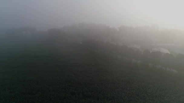 Letecký Pohled Ranní Mlhu Usazující Nad Zemědělskými Poli Domovy — Stock video