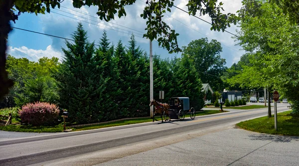 Cavalo Amish e Buggy viajando ao longo de uma estrada residencial — Fotografia de Stock