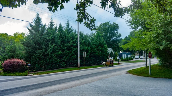 Amish Pony e Buggy viajando ao longo de uma estrada residencial — Fotografia de Stock