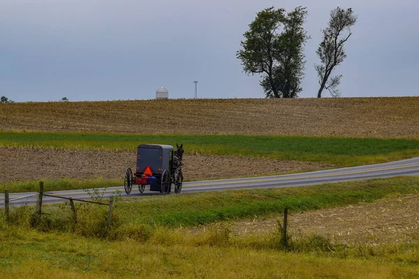 Amish Atı ve At Arabası Tepeye Çıkıyor — Stok fotoğraf