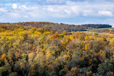 Nehir kenarındaki Ağaçlarda ve Tarlalarda Sonbahar Renkleri