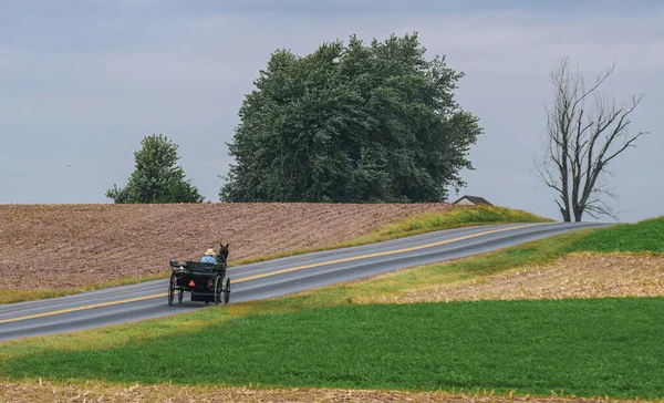 Caballo Amish y Buggy subiendo una colina — Foto de Stock