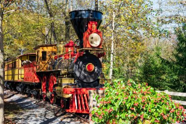 Antika Ahşap Yanan Buhar Motoru ve Güzel Koçların Manzarası