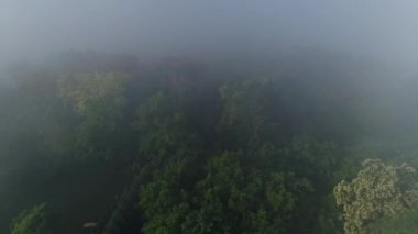 Sabahın erken saatlerinde çiftlik arazileri ve evleri üzerine yerleşen sisli bir hava manzarası