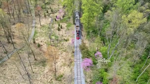 Uma Vista Aérea Trem Passageiros Vapor 1860 Que Viaja Através — Vídeo de Stock