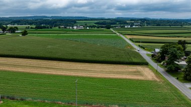Kırsal Amerika boyunca uzanan yemyeşil tarlaların geniş bir manzarası var..
