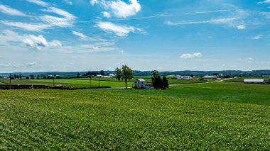 Tüylü bulutlarla dolu açık mavi bir gökyüzünün altında yemyeşil tarlalar uzanır. Uzakta küçük beyaz bir ev görülebilir, arka planda tarım arazileri ve tepelerle çevrili..