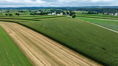 Geniş yeşil alanlar ve tarım arazileri kırsal bir alana yayılıyor. Uzaktan görülebilen çiftlikler, bulutlu bir günde resim gibi bir manzara yaratıyor, güzellikleri gözler önüne seriyor..