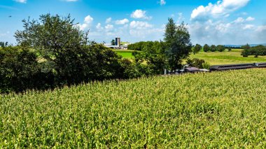 Lush green cornfield fills the foreground, while a steam train and farm building stands in the background. The scene is bright, with clouds drifting, embodying the tranquility of rural life.