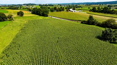 A panoramic view showcases lush green fields and neatly planted rows of crops under a bright blue sky. The landscape features farms and distant hills, creating a serene rural scene.