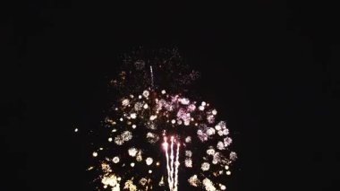 Spectacular bursts of color light up the sky as fireworks explode in various patterns, creating a festive atmosphere. The event attracts families and friends enjoying the summer evening together.