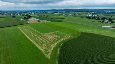 Yeşil tarlalar ve tarım arazileri canlı bir kırsal alan oluşturuyor. Manzara bulutlu bir gökyüzünün altındaki tarım binalarıyla dolu, kırsal alandaki tarımsal yaşamı gösteriyor..