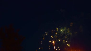 Parlak havai fişekler şehirdeki şenlikli bir kutlamada gece gökyüzünü aydınlatıyor. Seyirciler, canlı renklerin ufuk çizgisinin üzerinde patlayarak büyülü bir atmosfer yaratmasını hayranlıkla izliyor..