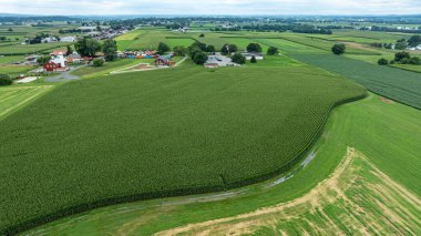 Sahne, kırsal bir alanda birkaç çiftliğin yanında büyüyen uzun mısır tarlalarını gösteriyor. Yeşil alanlar, bulutlu bir gökyüzünün derinliklerine kadar uzanıyor. Bu da yaz havasını gösteriyor..