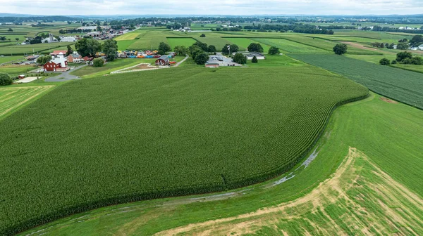 Sahne, kırsal bir alanda birkaç çiftliğin yanında büyüyen uzun mısır tarlalarını gösteriyor. Yeşil alanlar, bulutlu bir gökyüzünün derinliklerine kadar uzanıyor. Bu da yaz havasını gösteriyor..