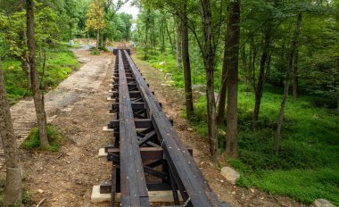 Ormandaki ağaçlar arasında ahşap bir yol inşa edilir. Yol düz ve yeşil çimlerin ve toprağın içinden geçiyor. Güneş ışığı yukarıdaki yaprakların arasından süzülür.