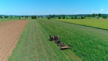 Çiftçiler yeşil tarlalarda mahsul toplamak için ekipman kullanıyorlar. Güneş parlıyor ve gökyüzü mavi. Etkinlik takım çalışmasını ve çiftlikteki insanların sıkı çalışmalarını gösteriyor..