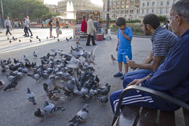 Güvercinler Barcelona, İspanya