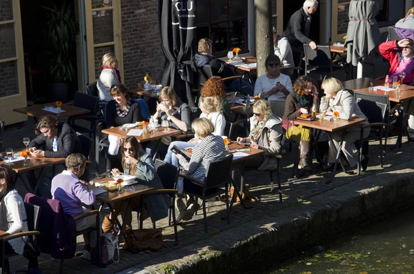 Café en Holanda — Foto de Stock