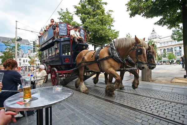 Autobús turístico con caballos en Amberes, Bélgica —  Fotos de Stock