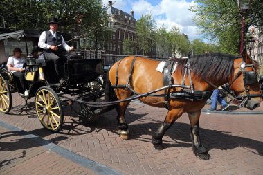 Amsterdam, Hollanda - 11 Ağustos 2017: 11 Ağustos 2017 'de Hollanda' nın tarihi Amsterdam kentindeki bir köprüde turistleri taşıyan at arabası