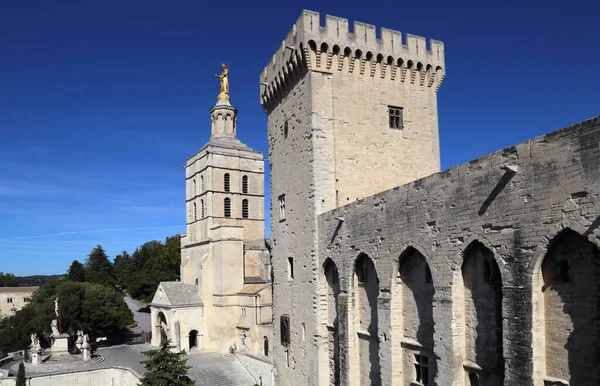 Notre Dame Kerk Torens Muren Van Het Paleis Van Pausen — Stockfoto