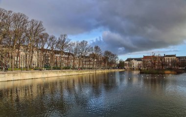The Hague, The Netherlands -  December 17, 2017: Hofvijver pond, trees and historical buildings at the Dutch Parliament Binnenhof in The Hague, The Netherlands on  December 17, 2017