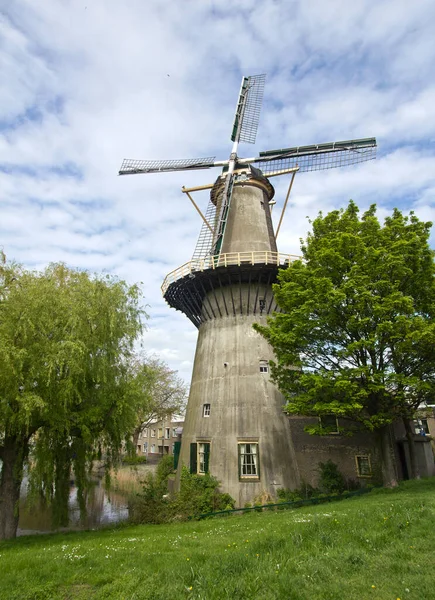 Grote Stenen Windmolen Tussen Bomen Schiedam — Photo