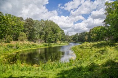 Gölet, ağaçlar ve gökyüzü Lahey 'in kumullarındaki Westduinpark' ta, Hollanda