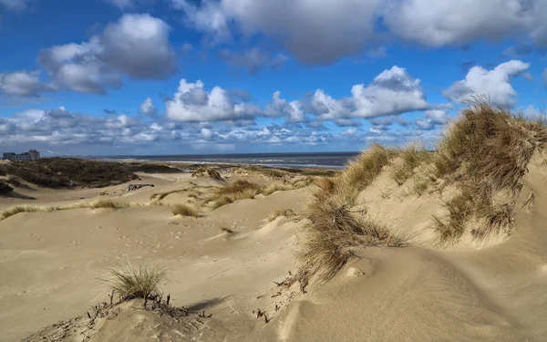 Dunes Tenger Hollandiában Hágában — Stock Fotó
