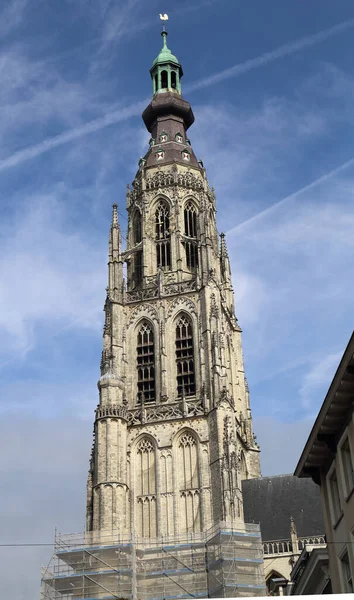 Tour Église Gothique Grote Kerk Breda Hollande — Photo