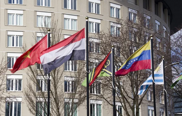 Internationale Vlaggen in Delft — ストック写真