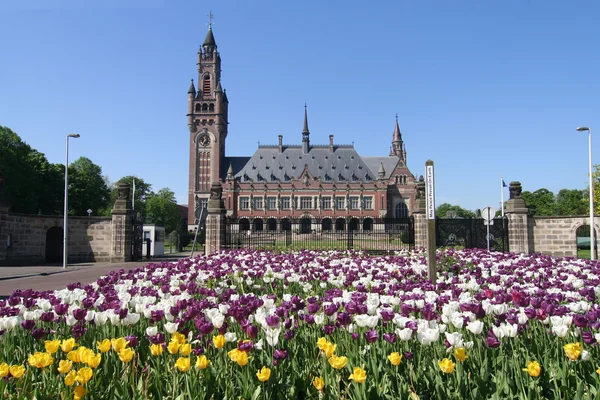 Палаці миру в Гаазі Ліцензійні Стокові Фото
