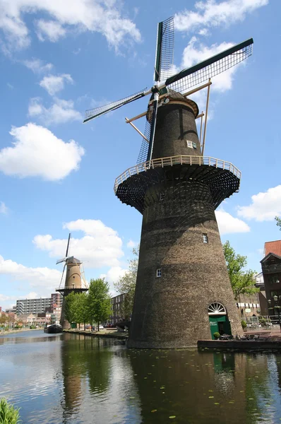 Stora holländsk väderkvarn — Stockfoto