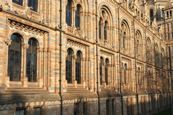 Naturkundemuseum — Stockfoto